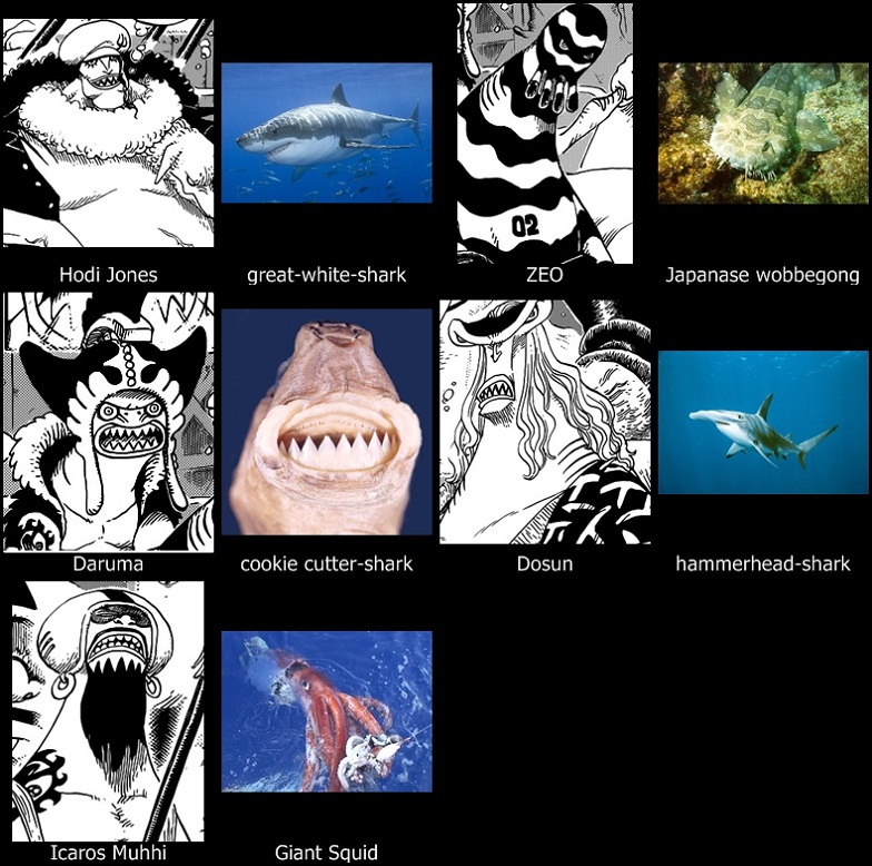 One Piece Database: Membahas PULAU Manusia Ikan (Info dan Teori)