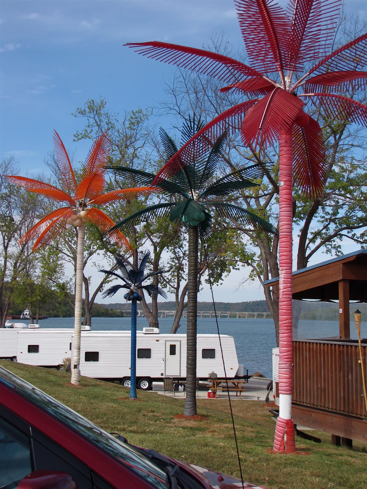 Sweet Annabelle Kentucky Palm Trees