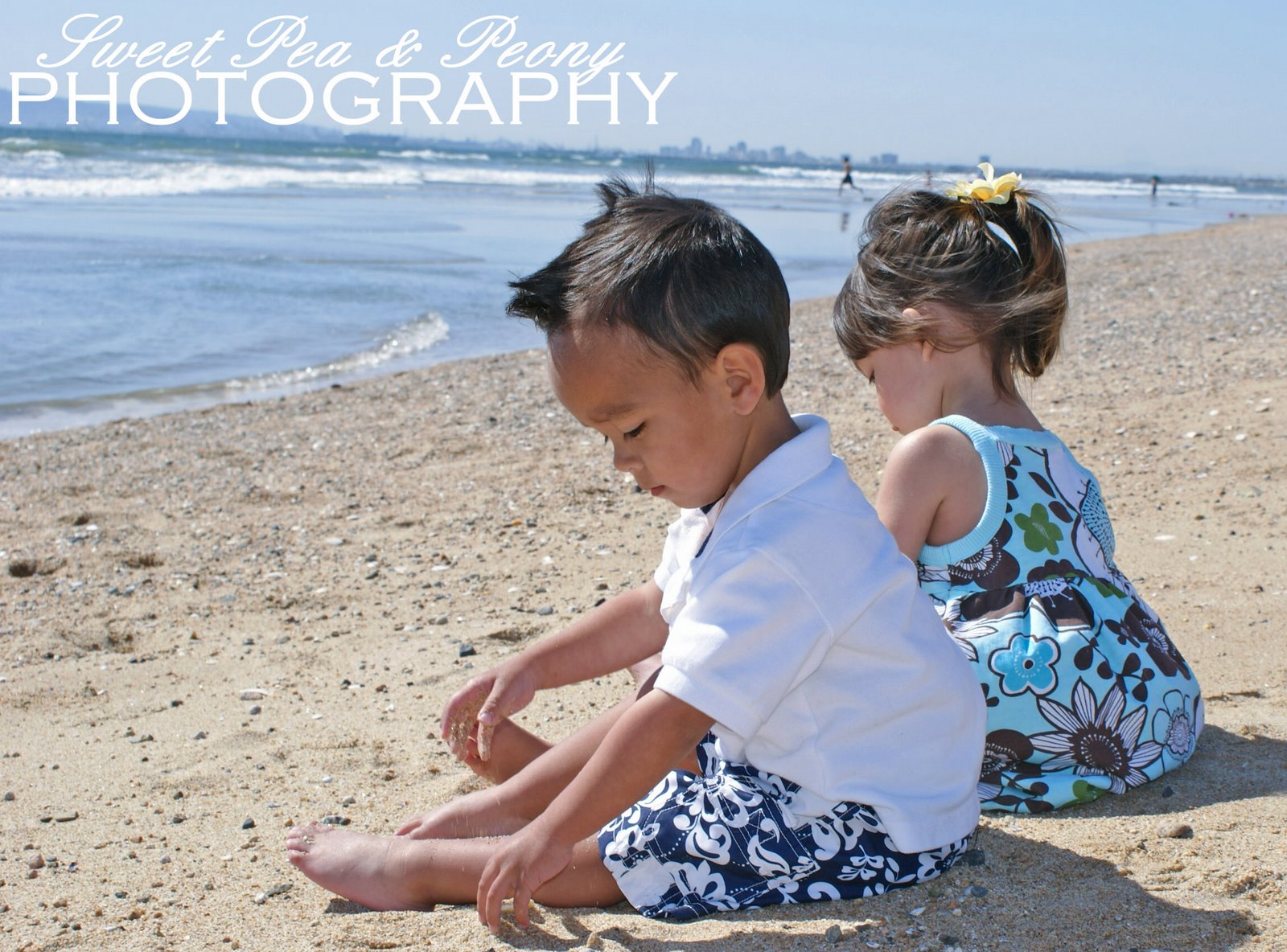 sweetpea and peony photography