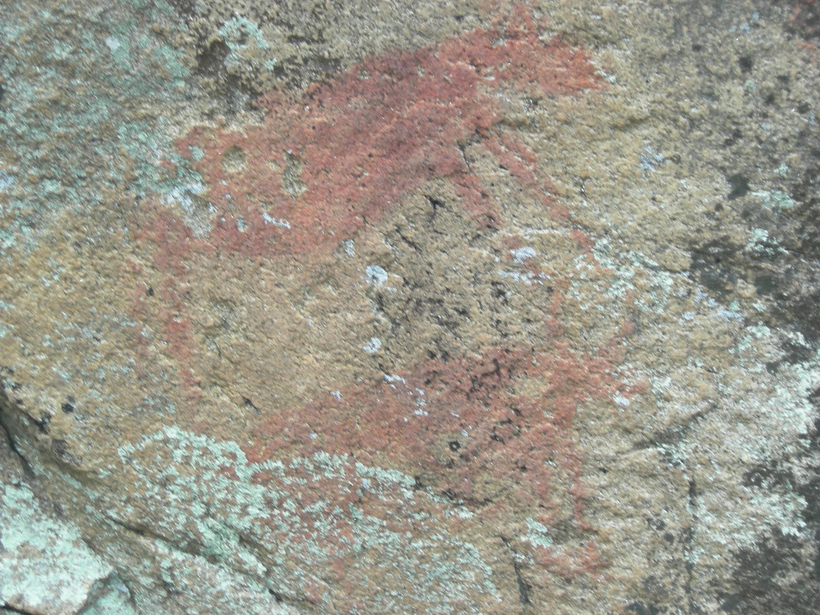 [Gravura02_COA_CIDADELHE.JPG]