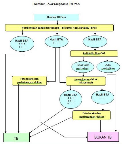 Gambar Alur Diagnosis TB Paru