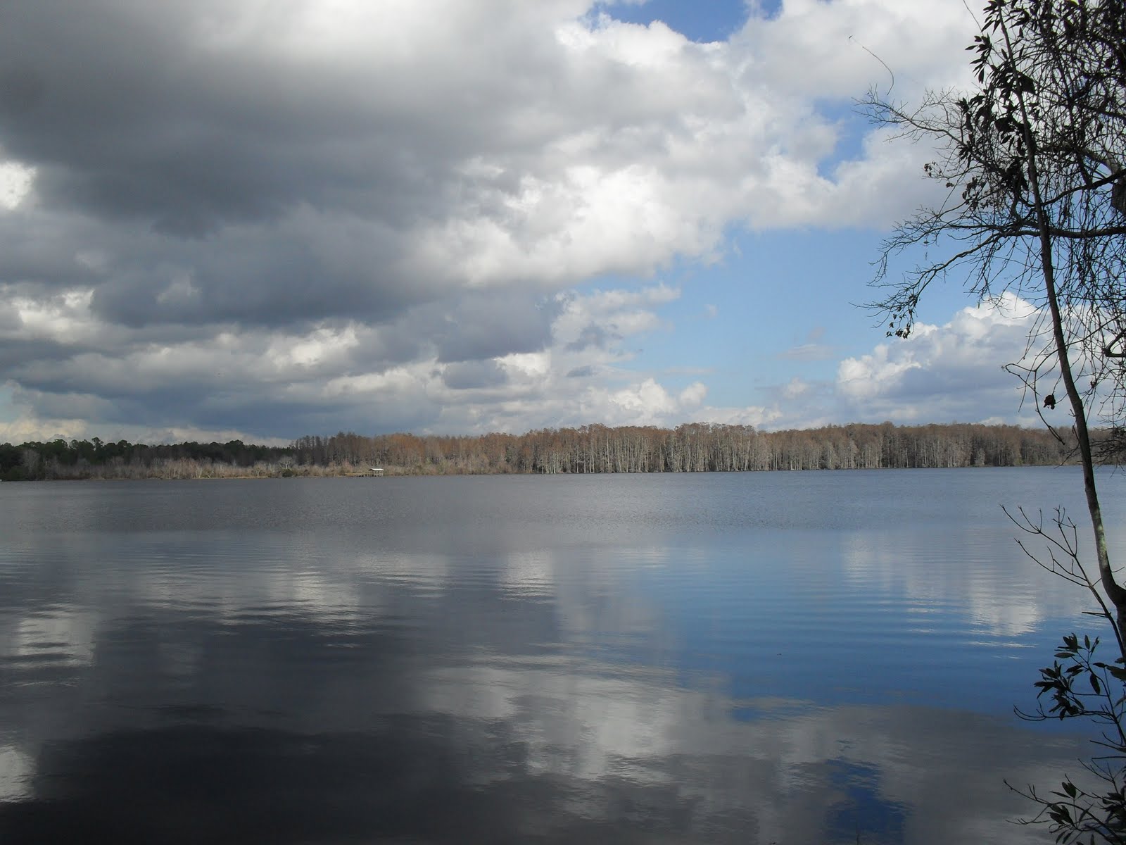 KAERIE FAERIE THE BLUE MERMAIDS OF TROUT LAKE