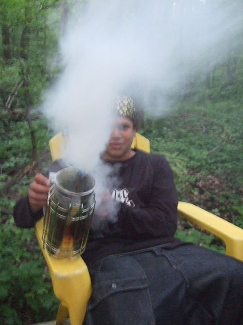 The Bee Journal How to Light a Smoker