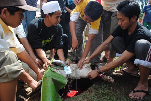 MTsN Arsemba '10: Qurban