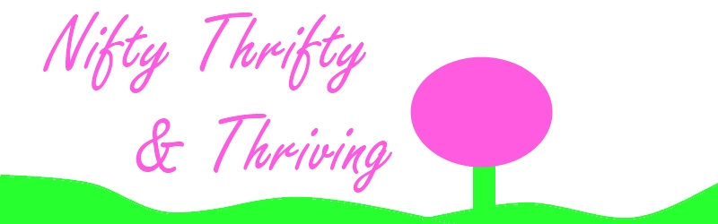 Nifty Thrifty & Thriving