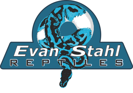 Evan Stahl Reptiles