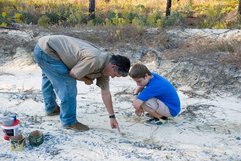 Identify Animal Tracks. This is a hog track we found.