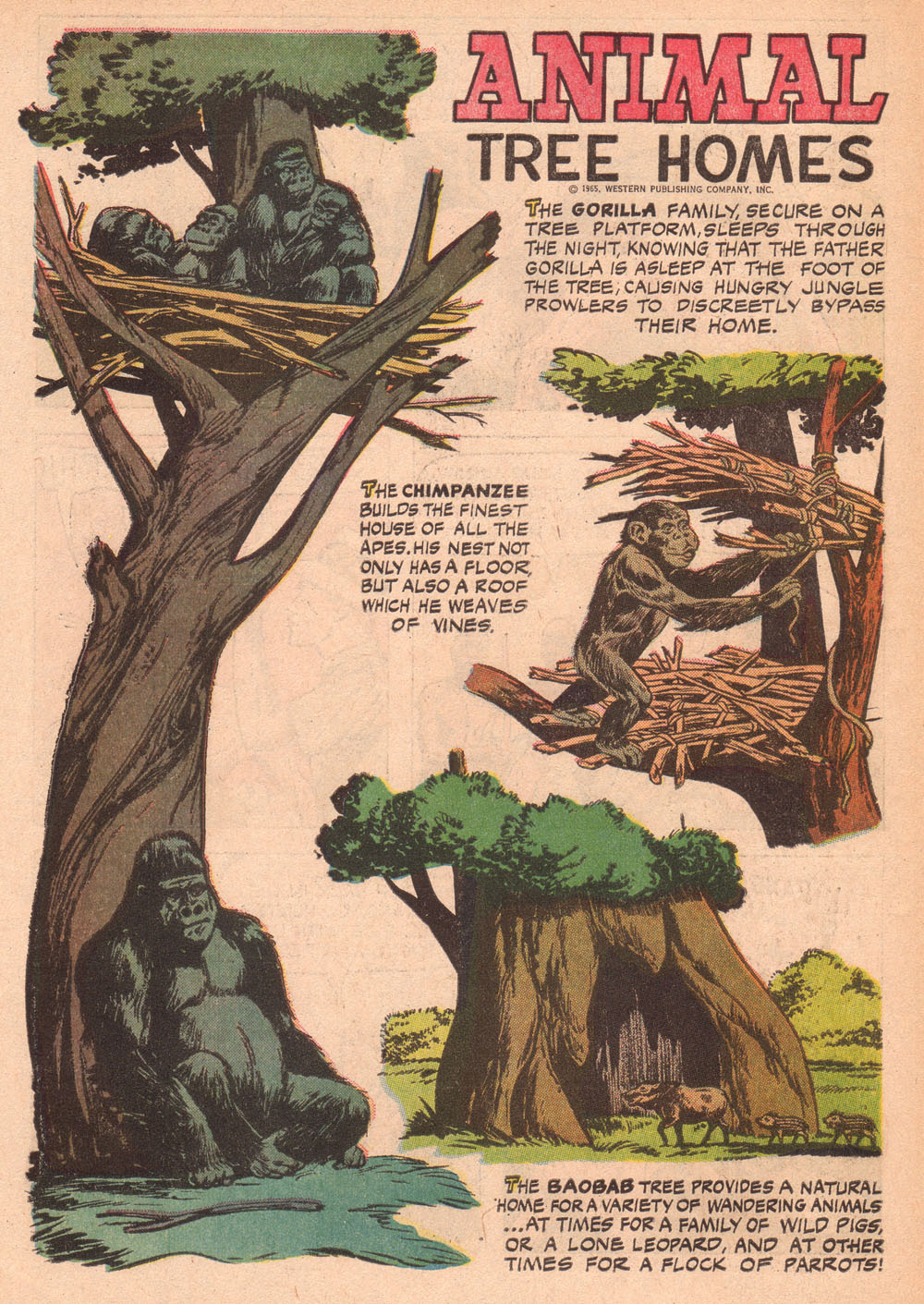 Read online Korak, Son of Tarzan (1964) comic -  Issue #10 - 34