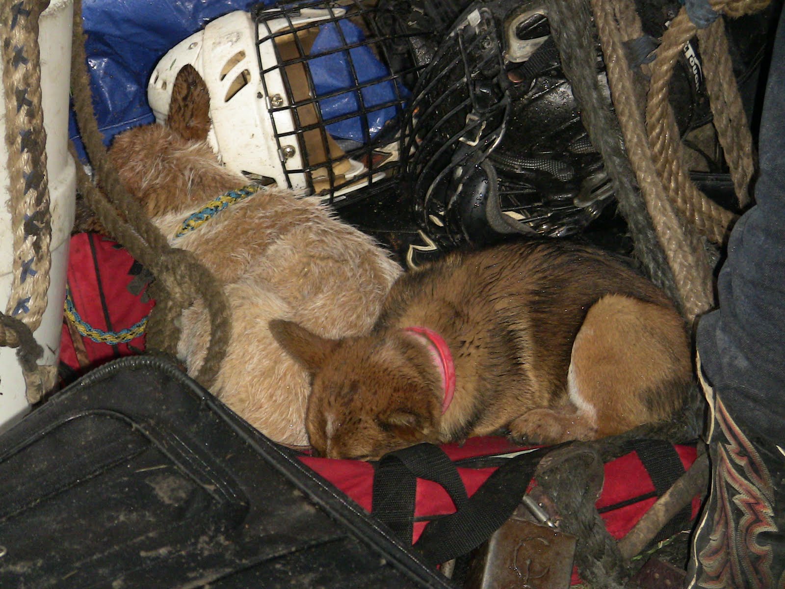 Boote Ranch Binford PBR