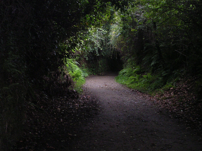 CAMINO DEL CUELEBRE O DRAGÓN