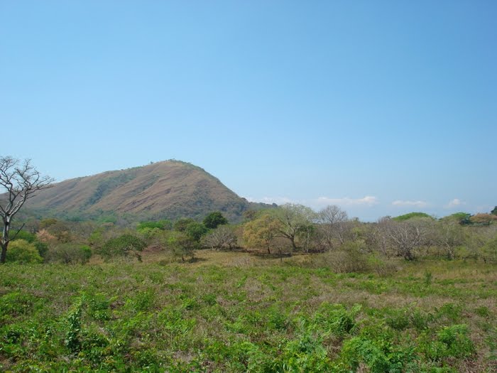 Playa Rio Y Monta a Las Quintas 5000 M2 Totalmente Planas