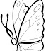 Diversos desenhos de borboletas para colorir desenho infantil