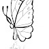 Desenho de borboleta para colorir desenhos para pintar