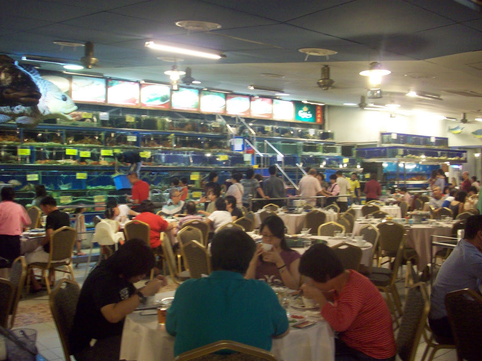 gila makan Uniquely fresh seafood