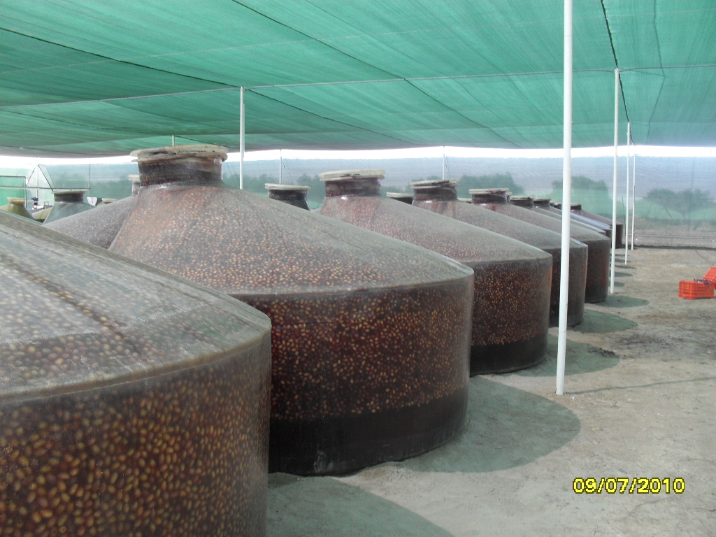 Gestión de Negocios: PROYECTOS