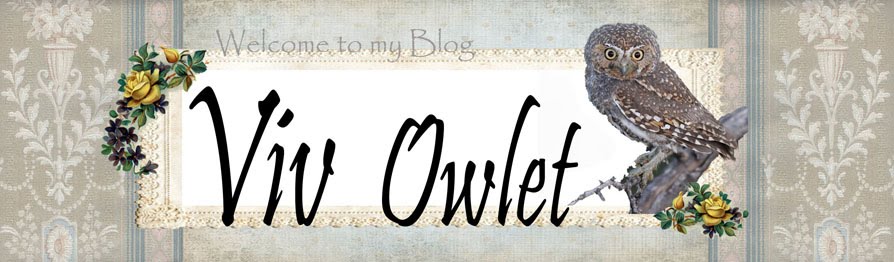 viv owlet