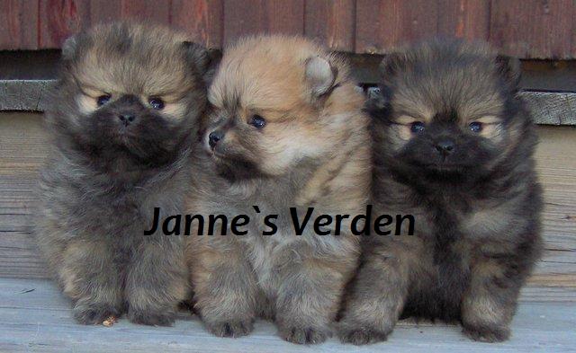 Janne`s Verden :)