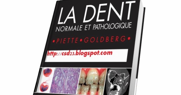 La Dent Normale Et Pathologique