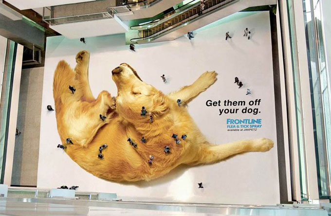 Content Consumer Cool Out Of Home Ads I Ve Copied Some Great Images Of Really Out The Box Ideas For Advertising In Home Field E Billboards Displays Bus Shelters