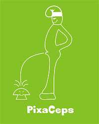 PIXACEPS