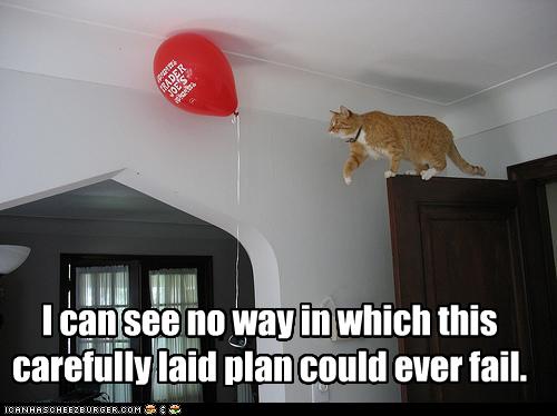 funny-pictures-cat-does-not-think-plan-w