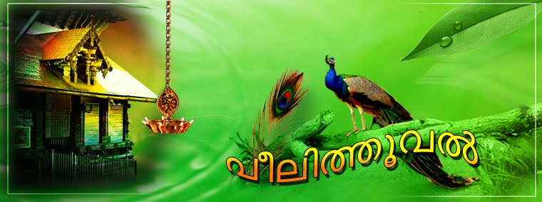 എന്റെ ചില കുത്തിക്കുറിക്കലുകള്‍