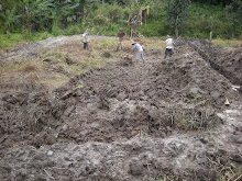 Keli Project