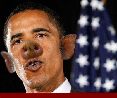 [Pig-Obama--36551.jpg]