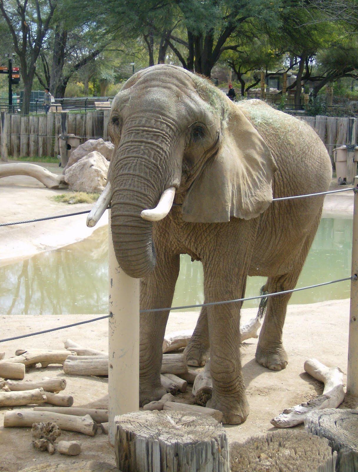 Our Tucson Trip Reid Park Zoo