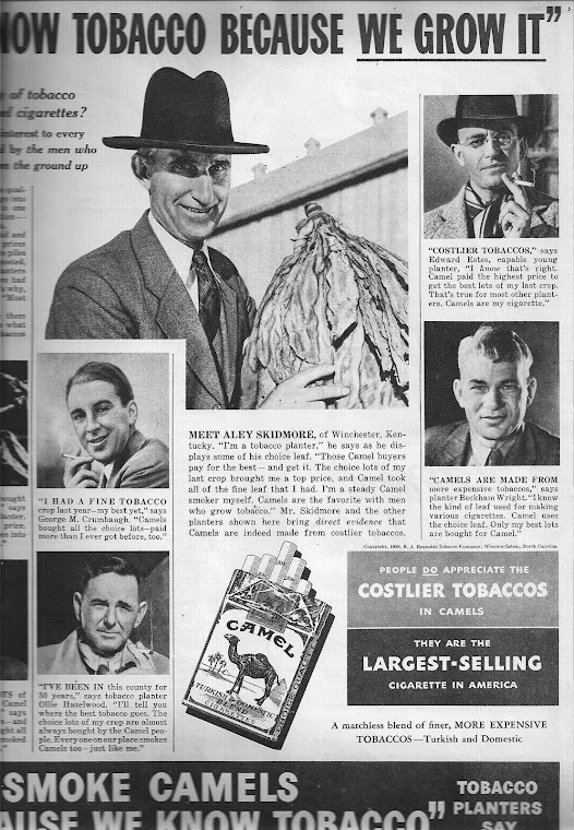 Tobacco growing in the 1930's