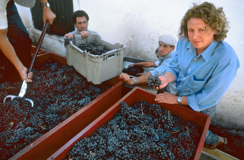 [image-19274-galleryV9-limv.jpg]