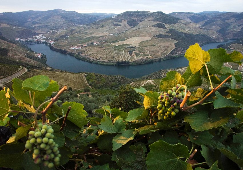 [image-19280-galleryV9-urur.jpg]