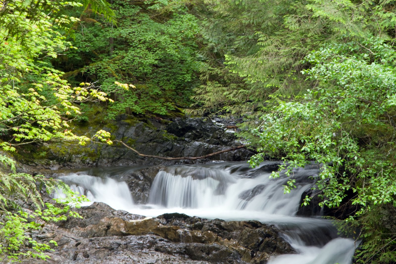 Adventures from the Pacific Northwest: Wallace Falls