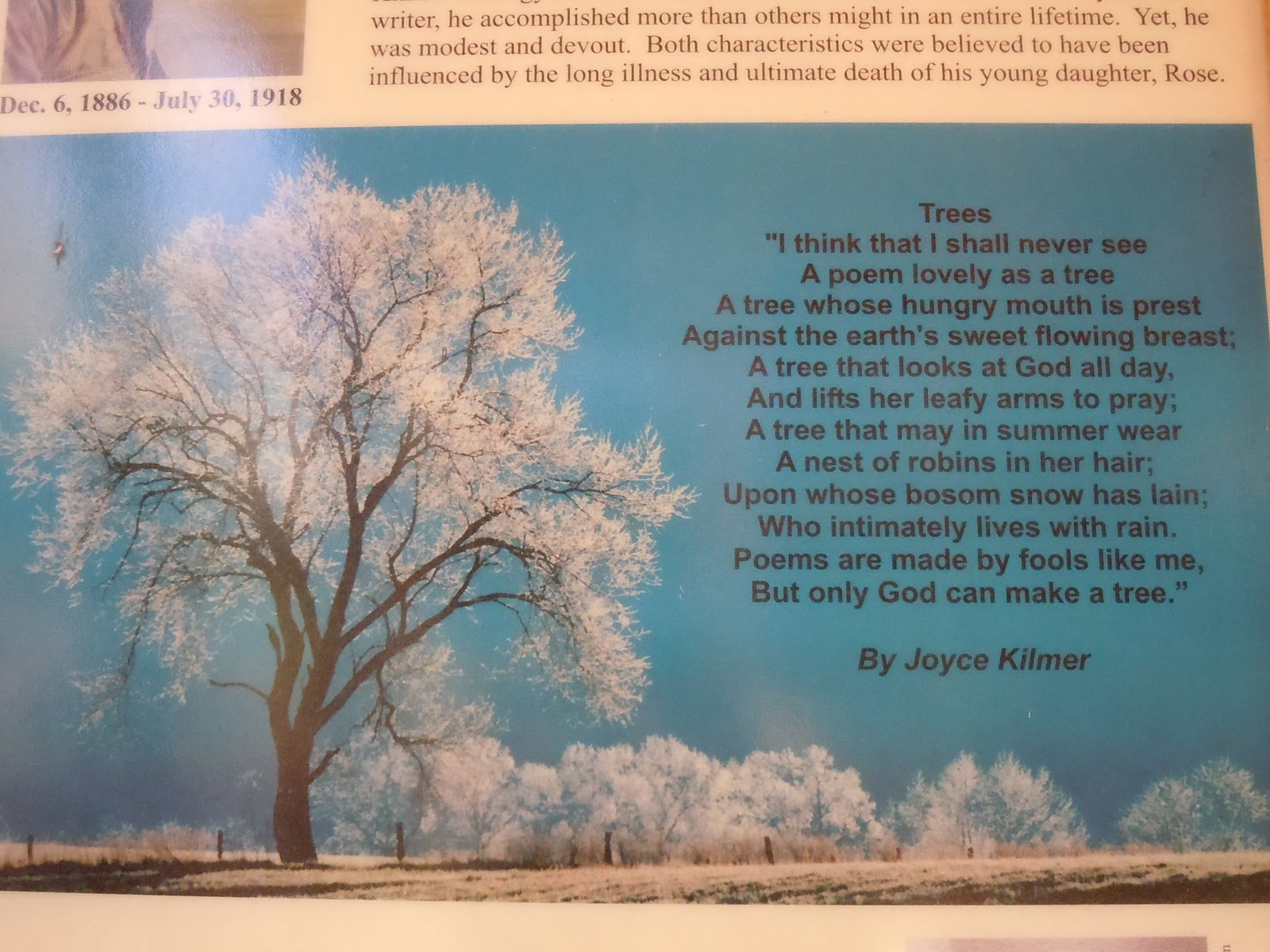 JKB Adventures Joyce Kilmer Memorial Forest