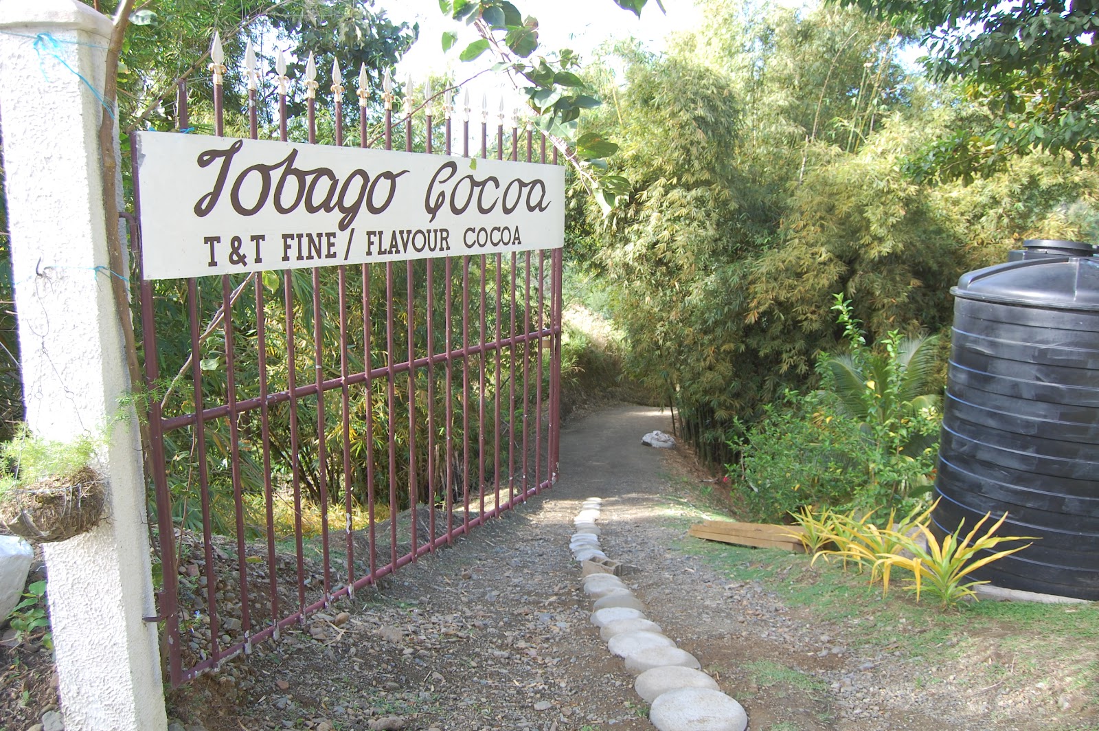 Bimodal eating in NYC Trip to a cocoa estate