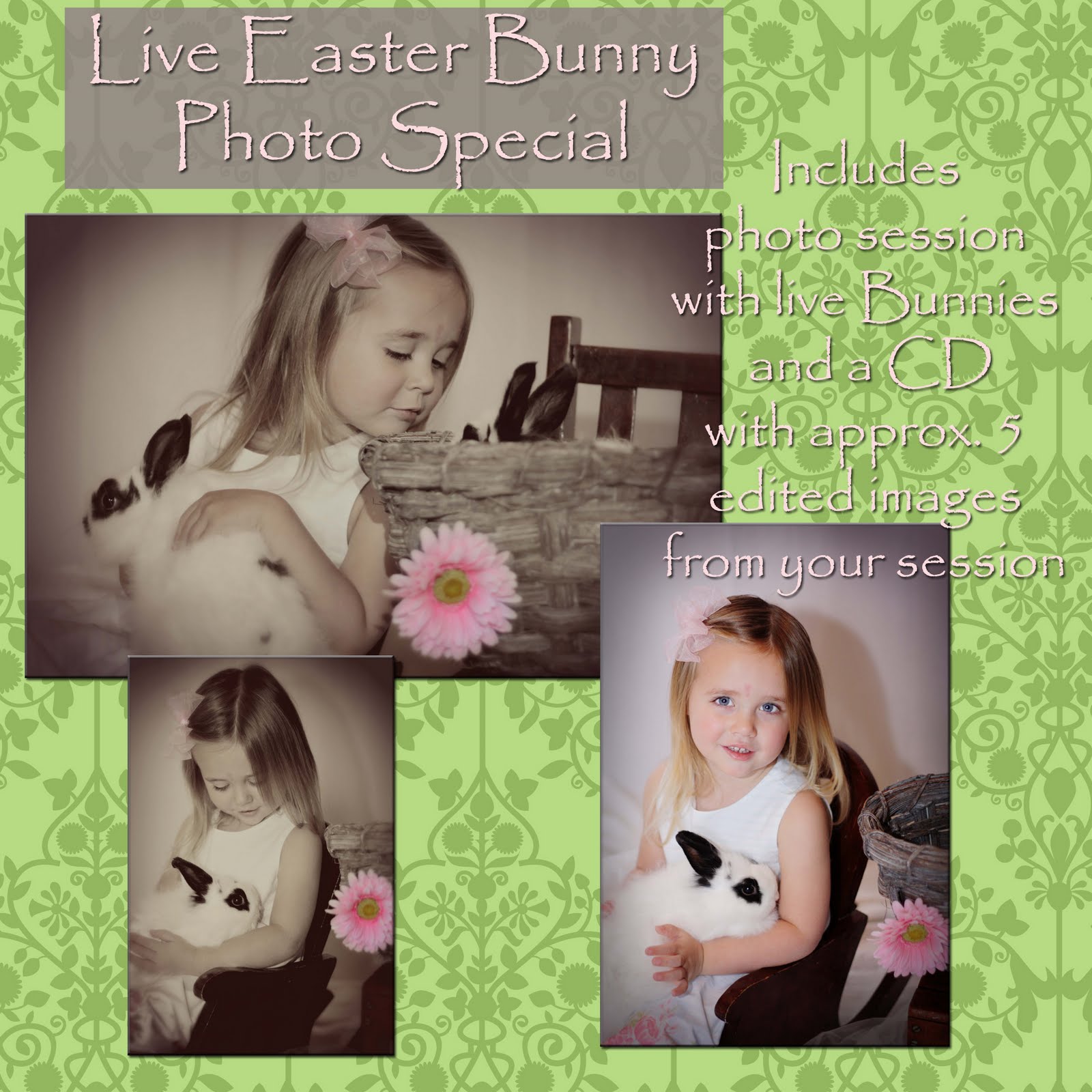 [Live+Easter+Bunny+Special+Advertisment.jpg]