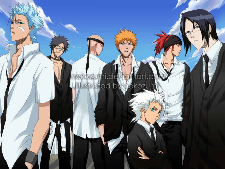 ranks of soul reapers in bleach ranks of soul reapers in bleach