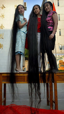 longhairEPA_450x803.jpg