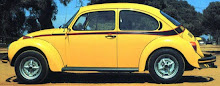 1973 Sports Bug-Sport Beetle