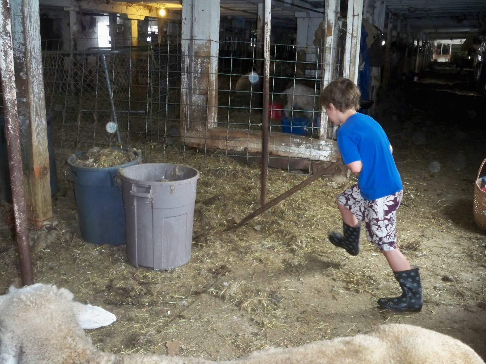 Maggie's Farm Barn Cleaning