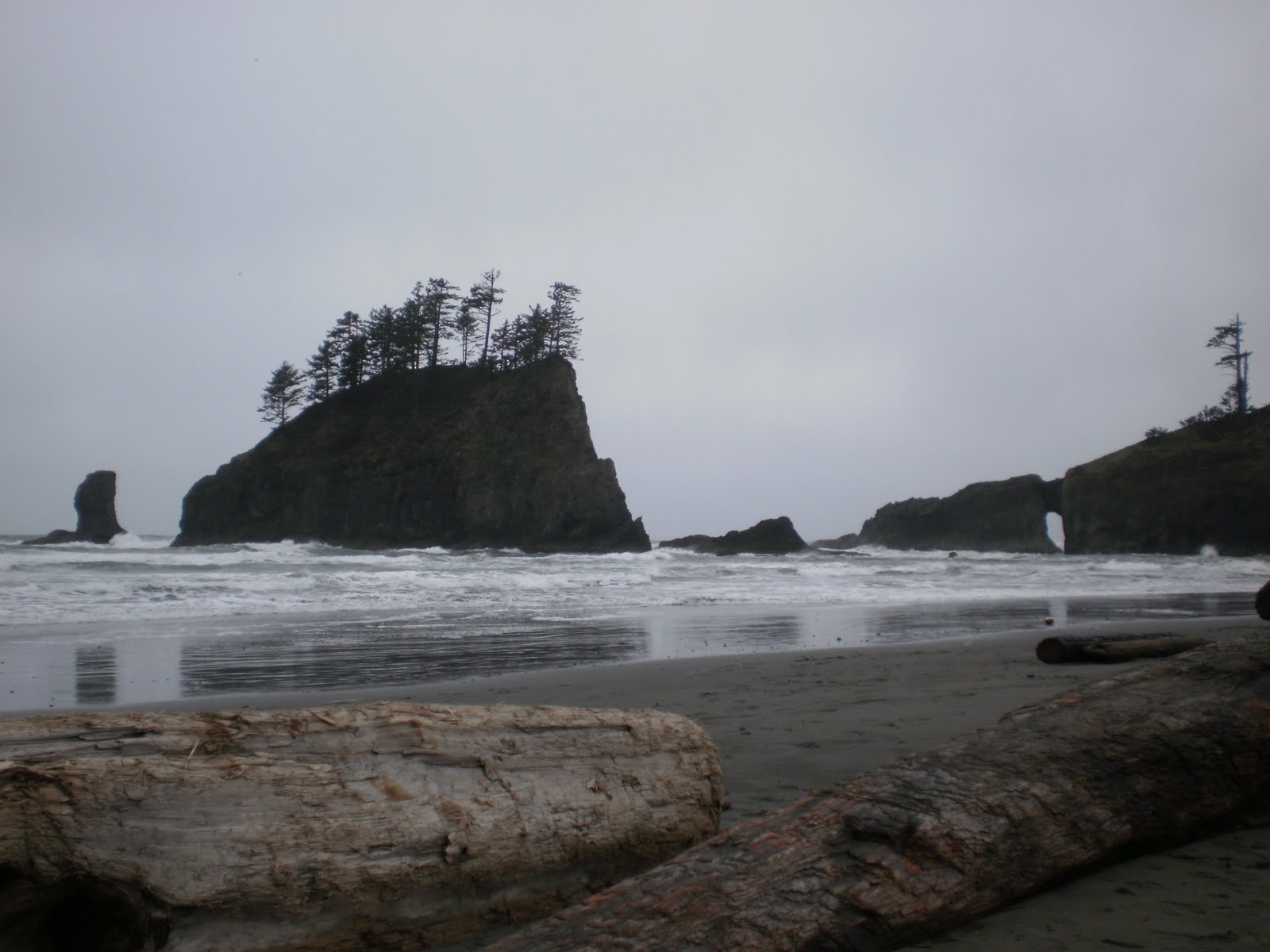 Ouvres grand tes yeux Forks et La Push (état Washington)
