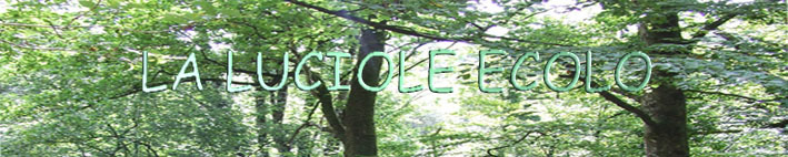 LA LUCIOLE ECOLO