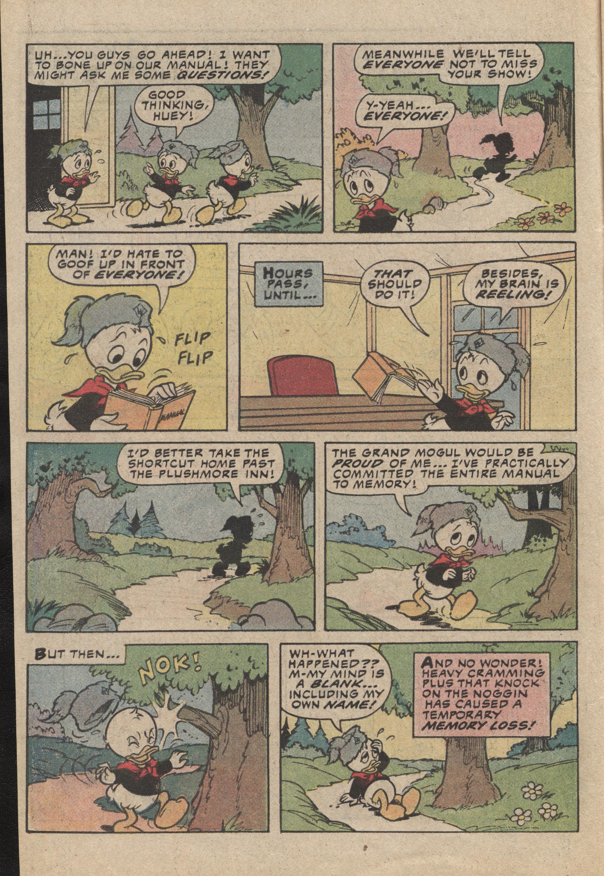 Read online Huey, Dewey, and Louie Junior Woodchucks comic -  Issue #72 - 10