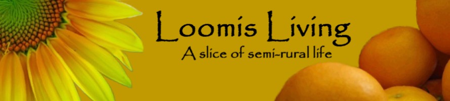 Loomis Living