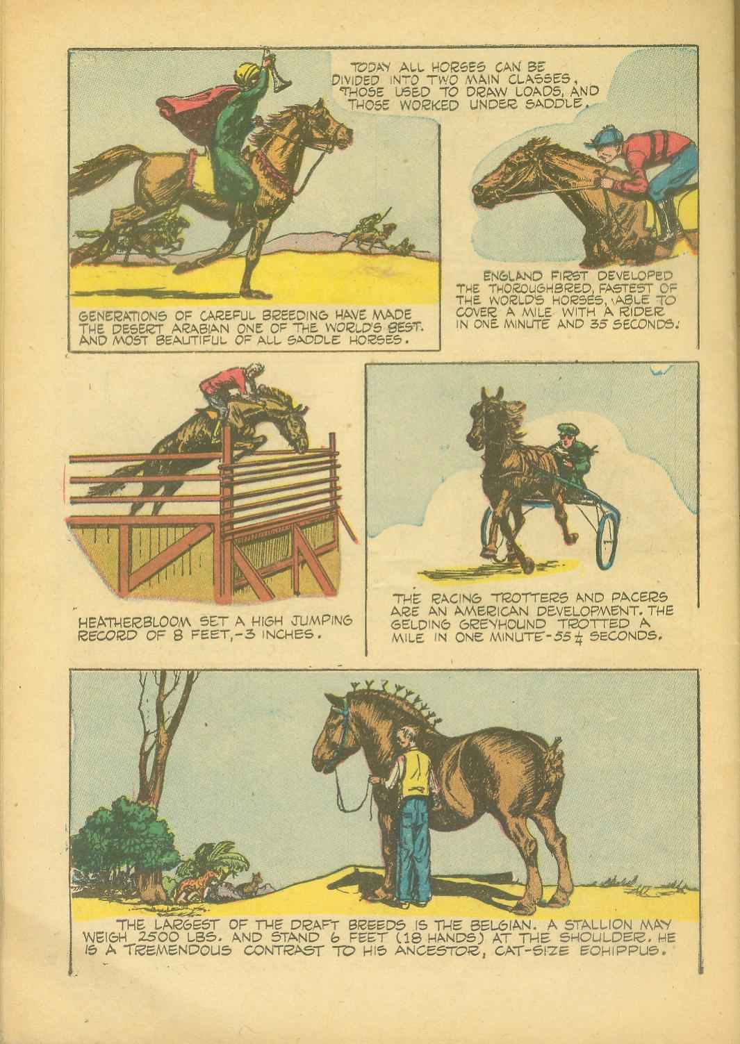 Read online The Lone Ranger (1948) comic -  Issue #7 - 50