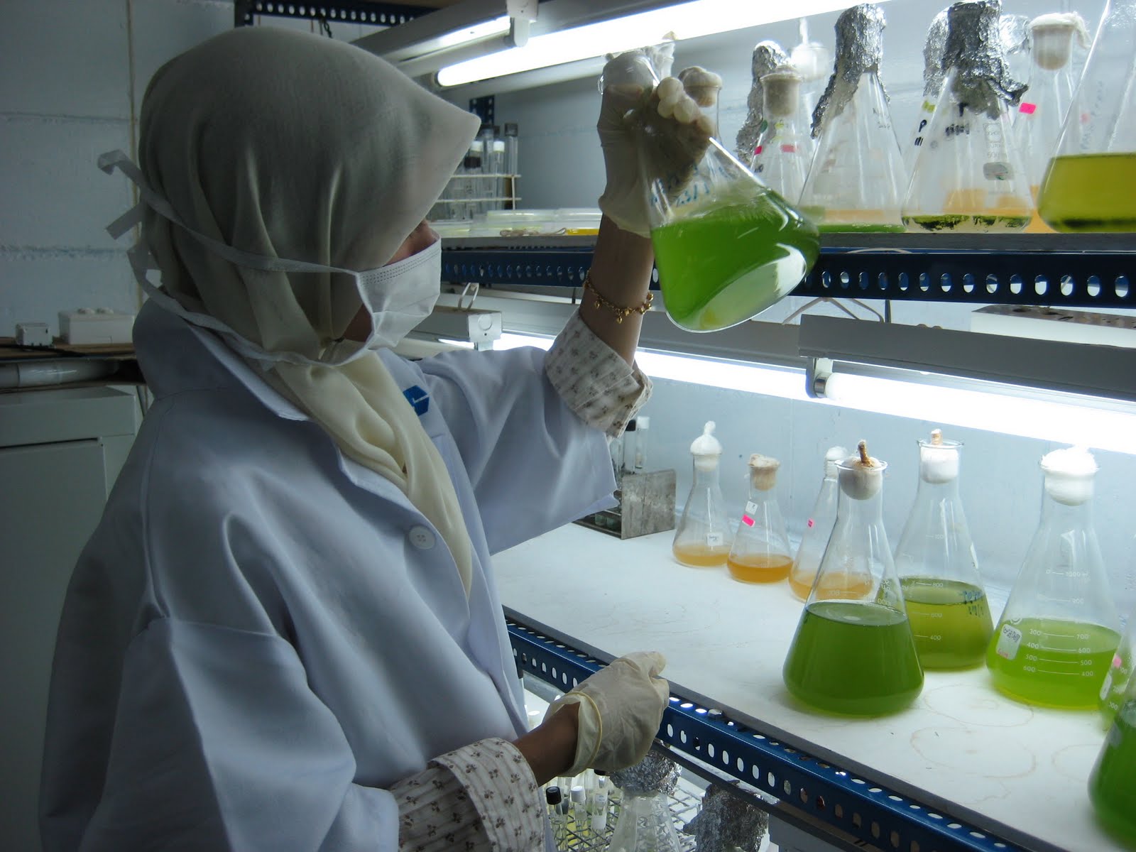 Plankton Research Laboratory Notes from the Lab Supervisor