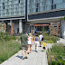 High Line Show