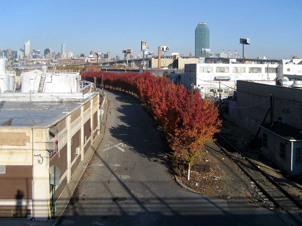 Red Tree Line - From the Greenpoint Ave. bridge into Blissville, Queens.