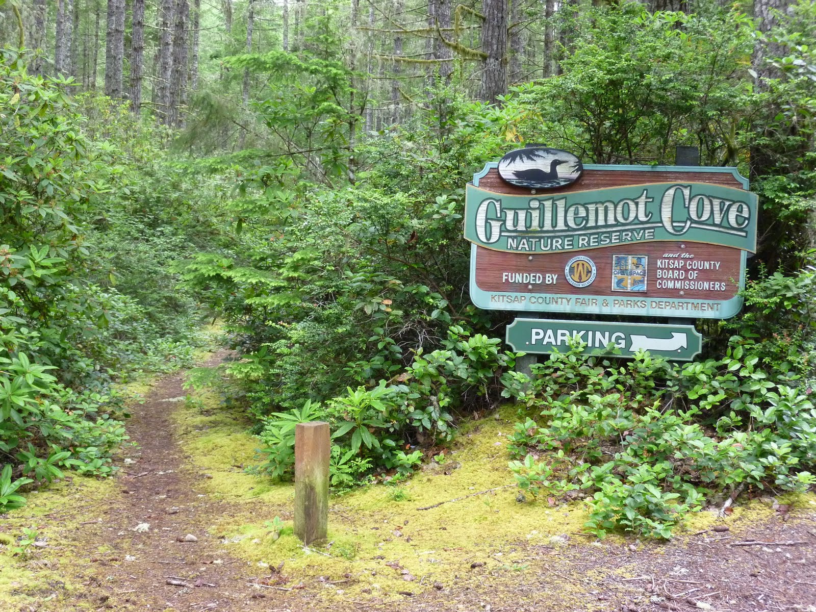 заповедники россии доклад. доклад о заповеднике. парки в россии на английском языке. заповедник белогорье борисовка. заповедник на английском рассказ.