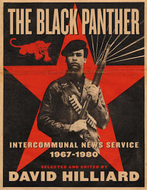 Are The New Black Panthers Obama's Civilian Police Force?